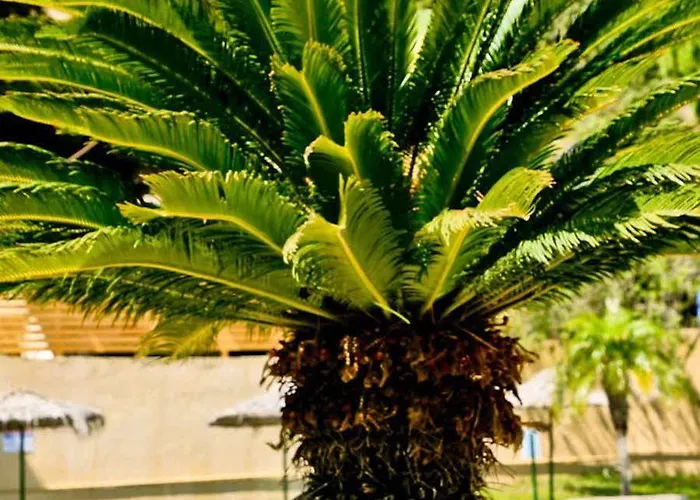 Achousa (adults Only) شقة فندقية