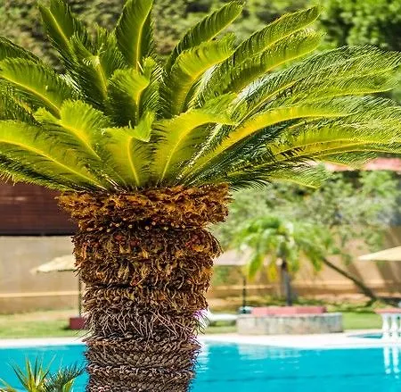 Achousa (adults Only)