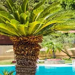 Achousa (adults Only)