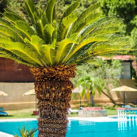 Achousa (adults Only) מלון דירות 3*